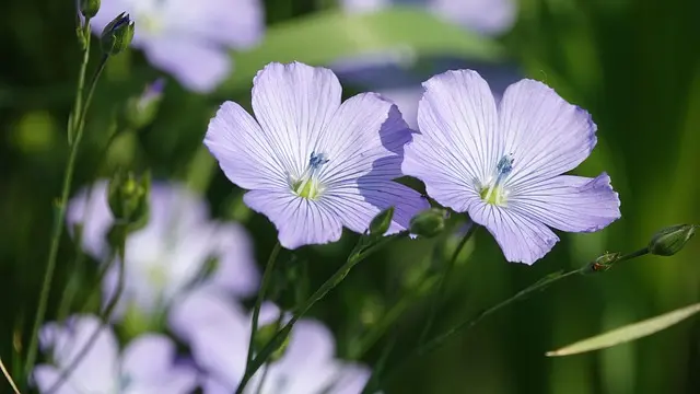 Les Meilleurs Pots de Fleurs Écologiques pour Embellir Votre Jardin