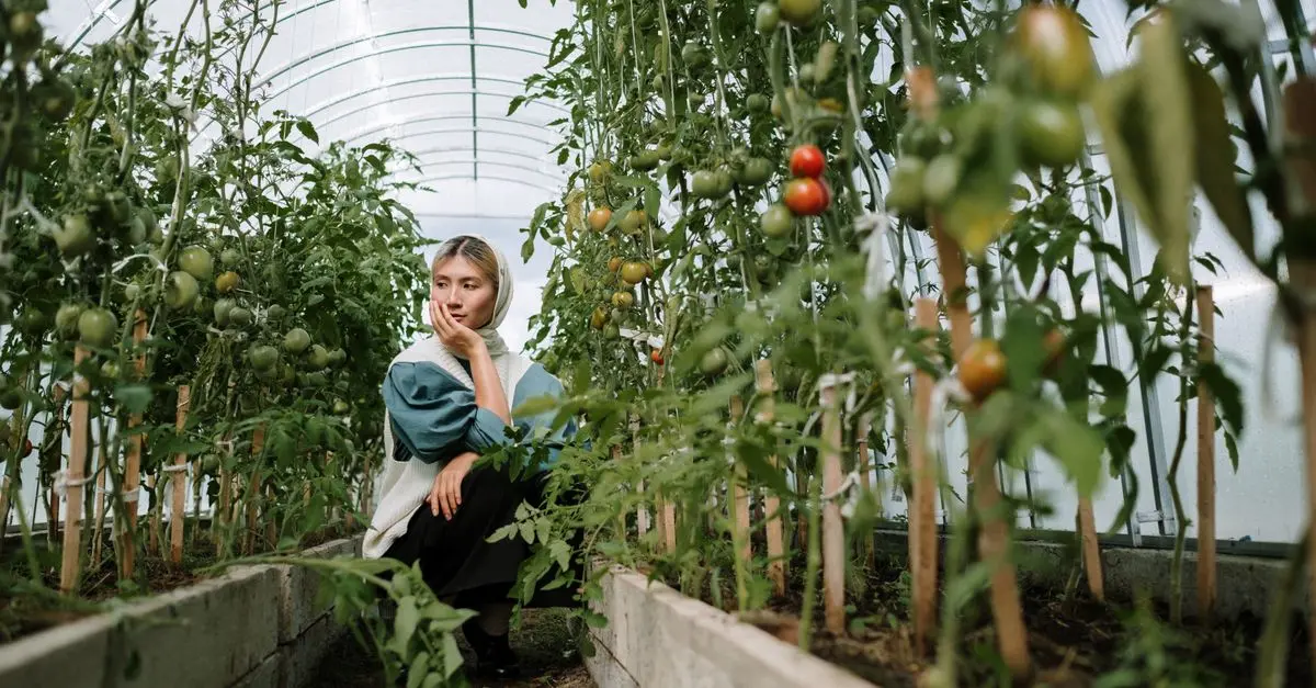 Meilleurs Systèmes de Contrôle Climatique pour Potager Balcon