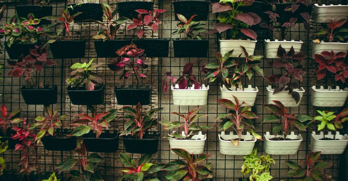 Guide d'achat pour le meilleur terreau pour potager vertical