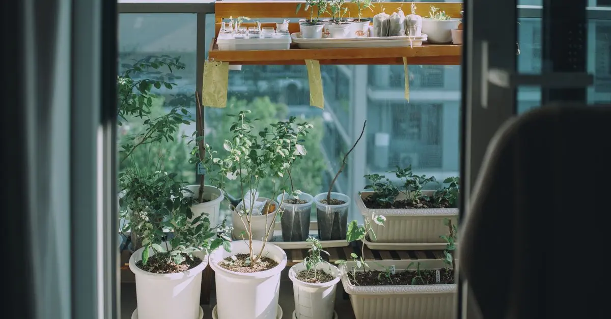 Accessoires indispensables pour balcon potager