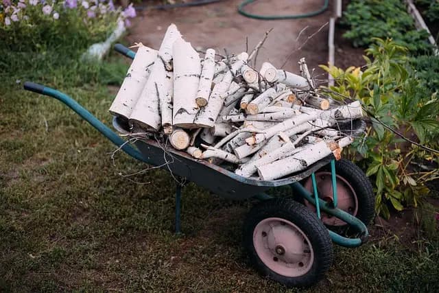 Meilleurs Engrais Organiques pour Potager Urbain