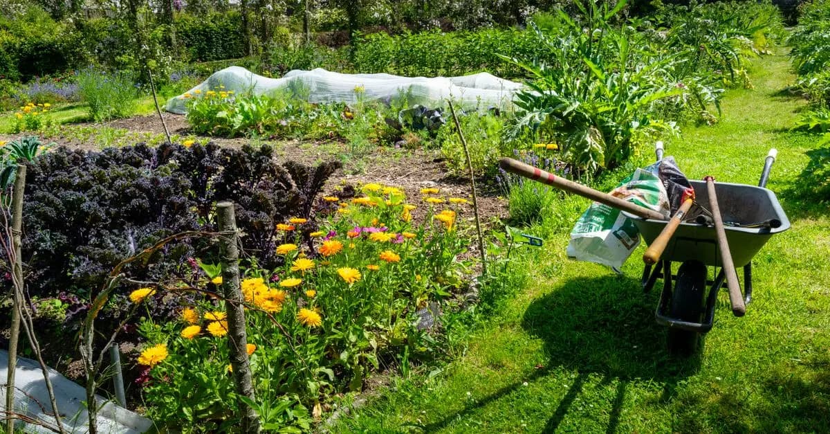 Les Meilleures Jardinières Suspendues pour Balcon